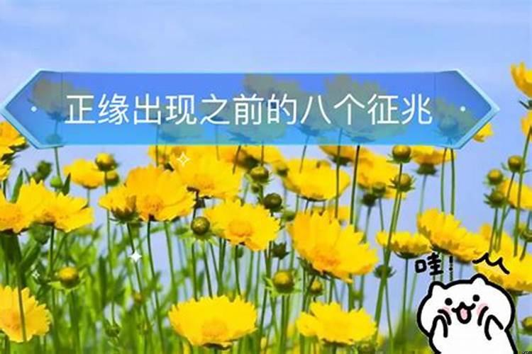 正缘出现的前兆