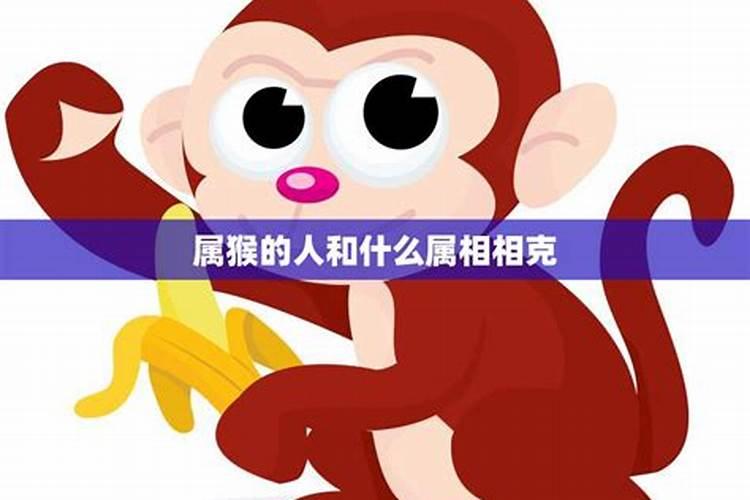 属猴和哪些生肖相冲