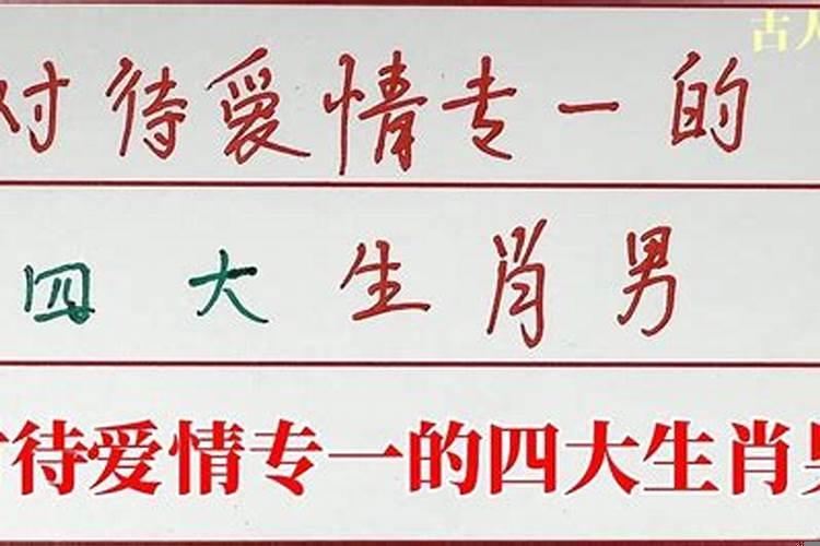 对感情专一的生肖女