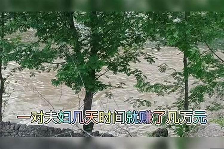 有没有赚钱门路