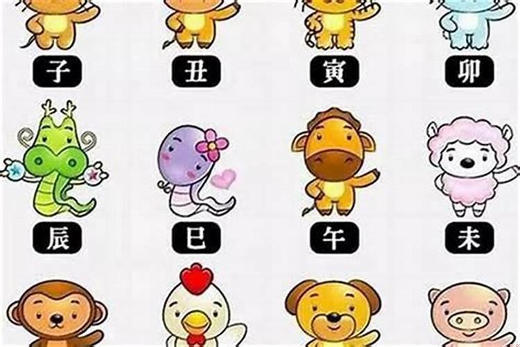 天之骄子是指什么生肖