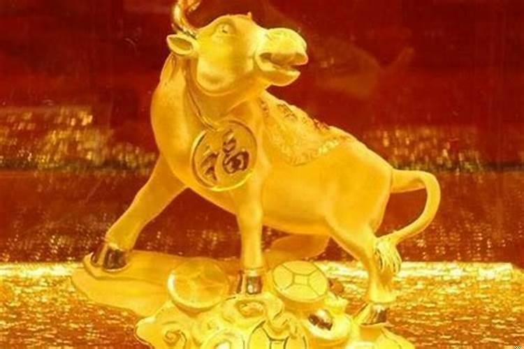 女人属牛的运程好不好