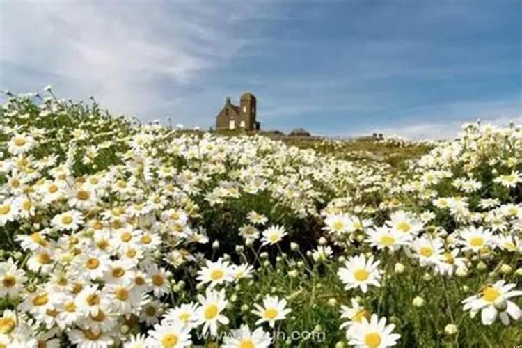 已婚女人梦见和情人说话