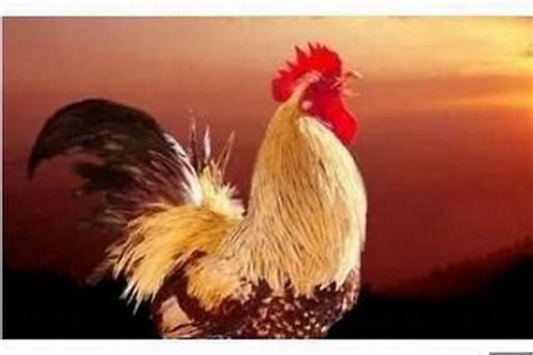 属龙的人适合做什么生意