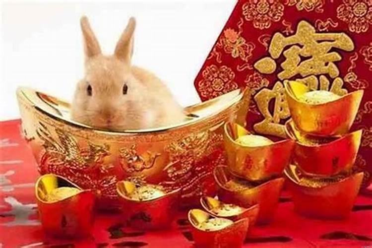 属兔忌讳农历几月出生