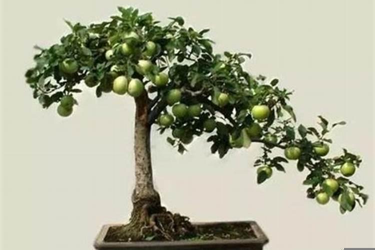 工厂大门摆放什么风水物