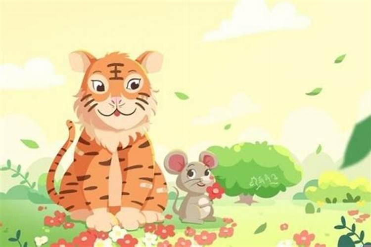 属鼠和属虎合不合得来