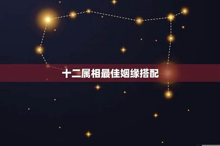 婚缘最好的属相配对