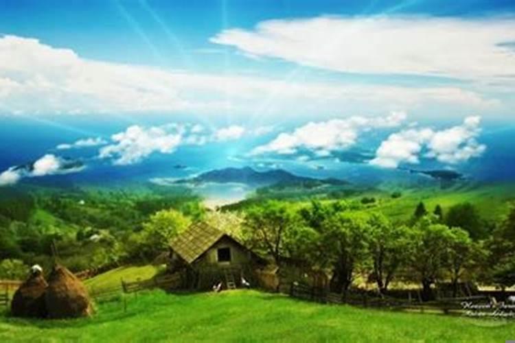 属羊已婚女人的外遇