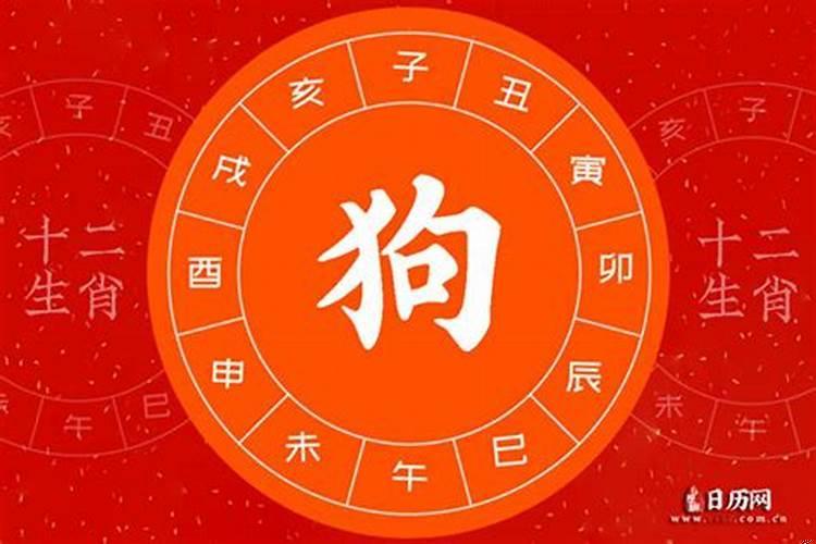 2021年属狗的多大岁