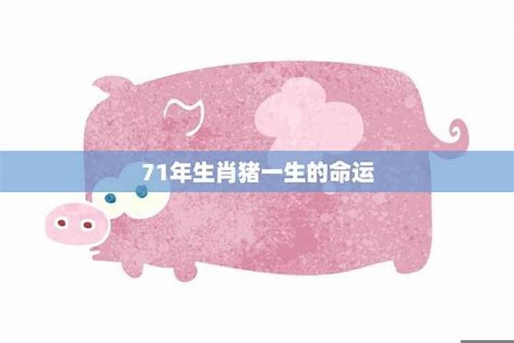 女猪属相和什么属相最配对