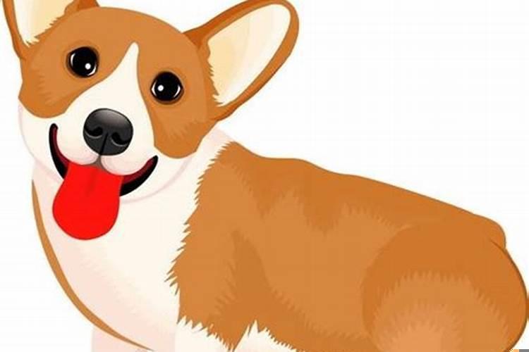 属羊人出生时辰的命运