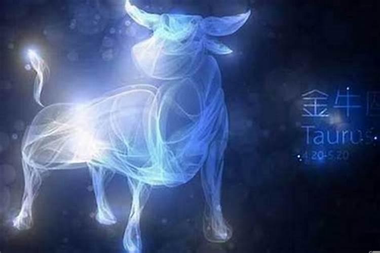 金牛座女生喜欢一个人会主动聊天吗