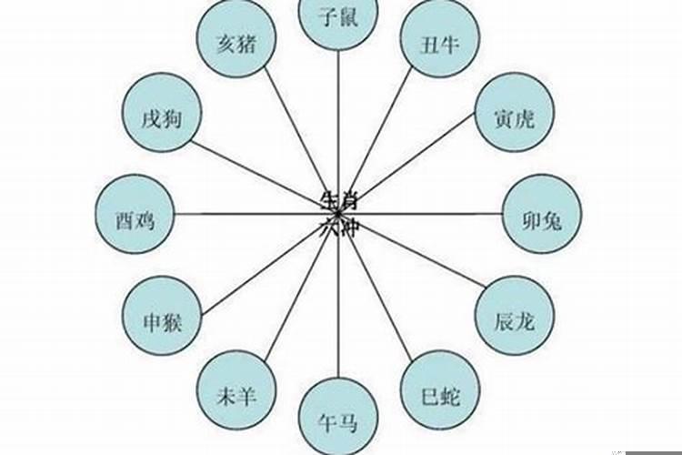 各个属相相结合