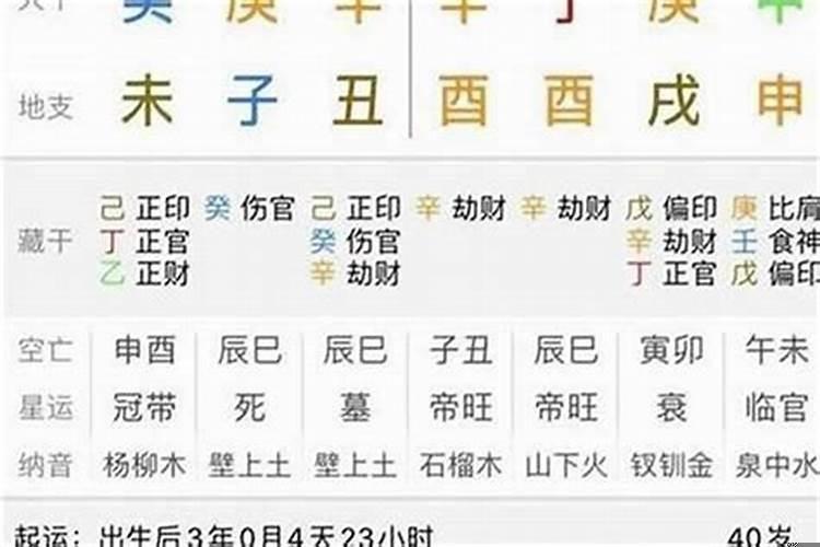 丁巳年是属什么生肖