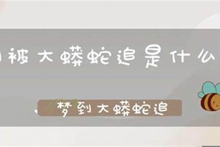 梦见别人把屋子收拾得很干净