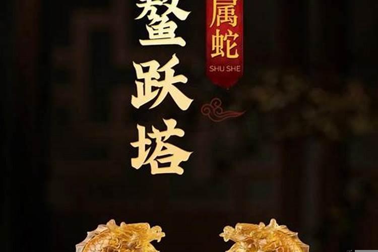 属蛇人2021年全年财运方向