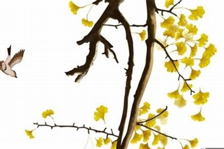 技术参数是什么意思