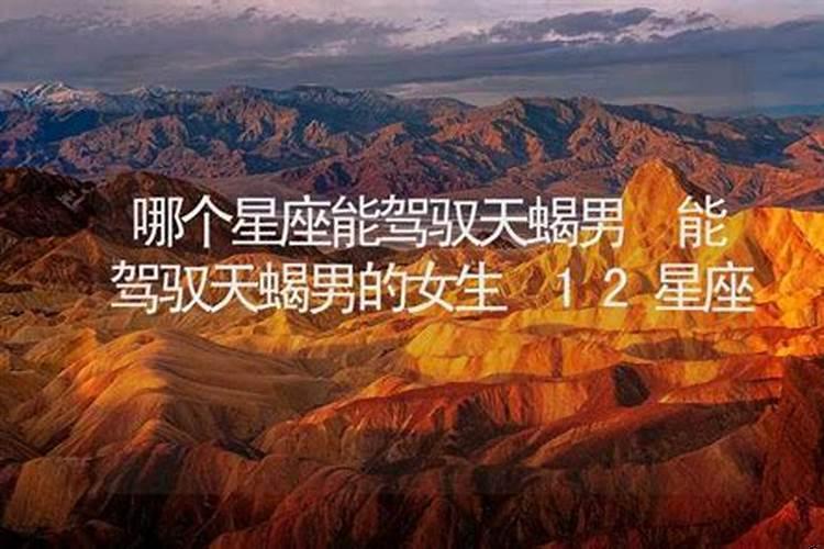 哪个星座能驾驭射手座