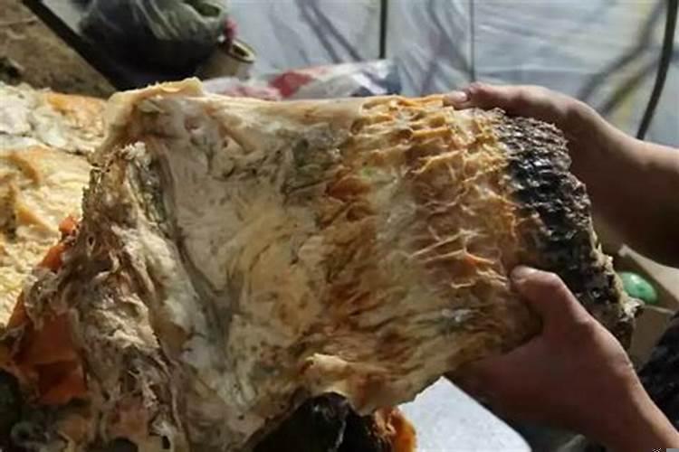 石太岁的使用方法