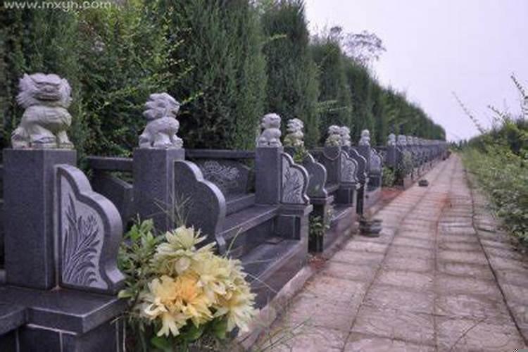 孕妇梦见很多坟地是什么意思