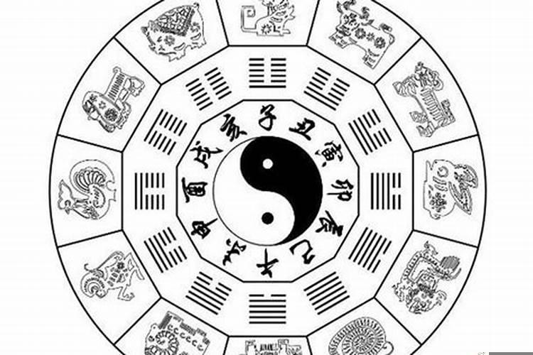 十二生肖对应的五行