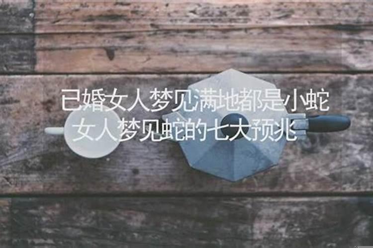 女人梦见满地都是蛇是什么意思