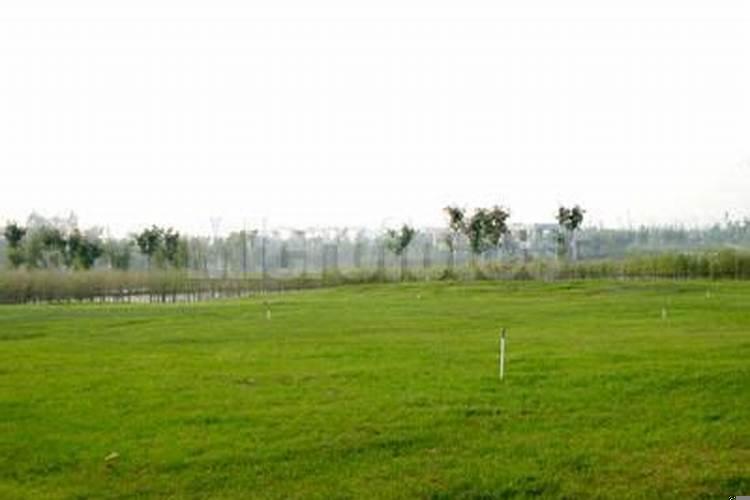 看祖坟风水发男还是发女