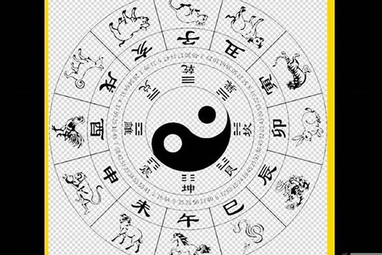 十二生肖对应的五行