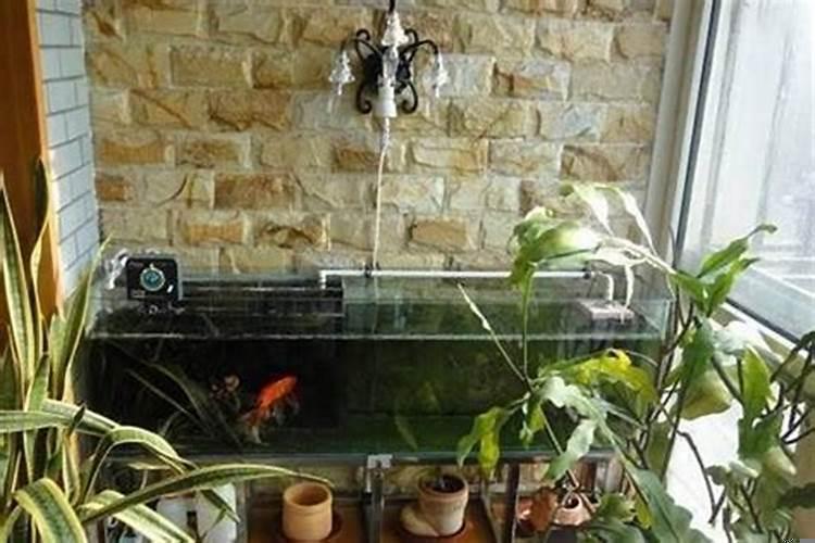 鱼缸放在阳台东边好吗