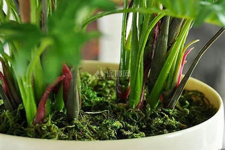 家里破财的原因怎么化解呢