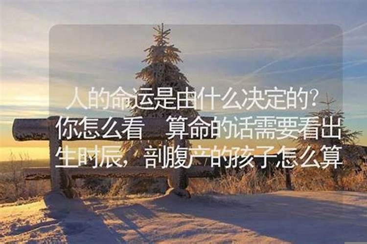 人的命运由什么决定