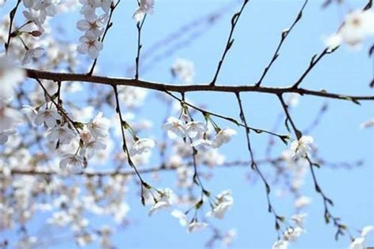 2021下半年有好运的生肖