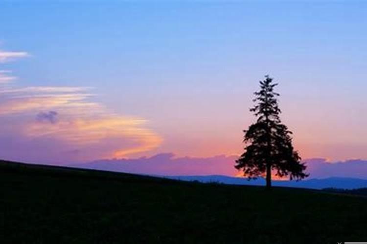 1985年出生的牛几月份好