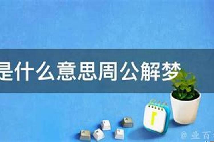 梦见两条小狗很乖