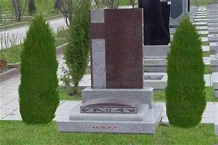 坟墓上有树好吗