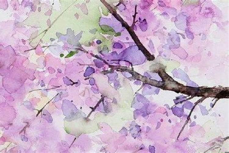 1982年属狗人桃花运