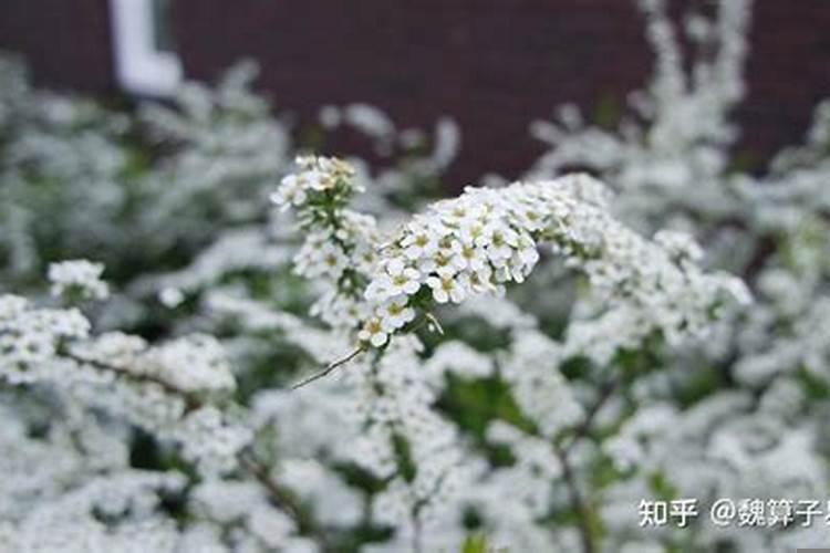 出轨的女人对家庭运气有影响吗