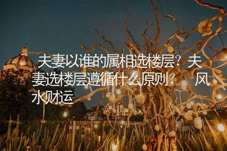 属相住房如何选楼层风水
