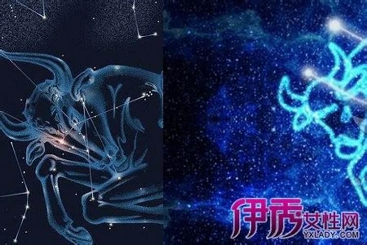 对付金牛座最好的办法是什么呢