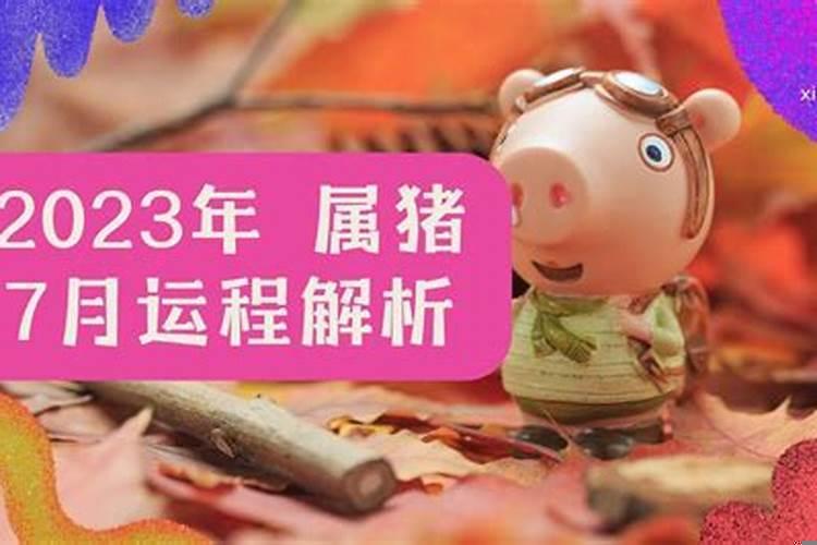2021年属猪7月运势