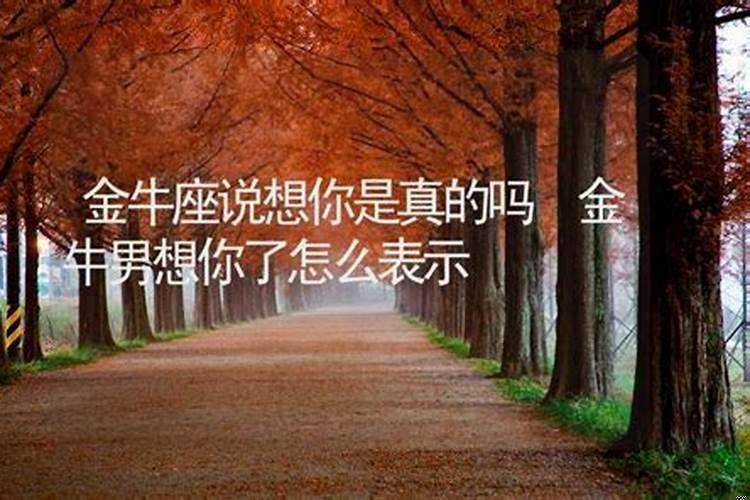 金牛座说爱我是什么意思呀