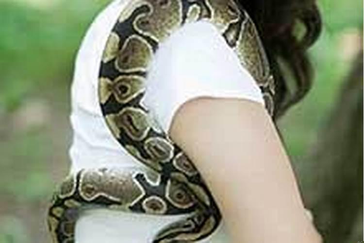 昨晚梦见蛇从自己身上爬过去