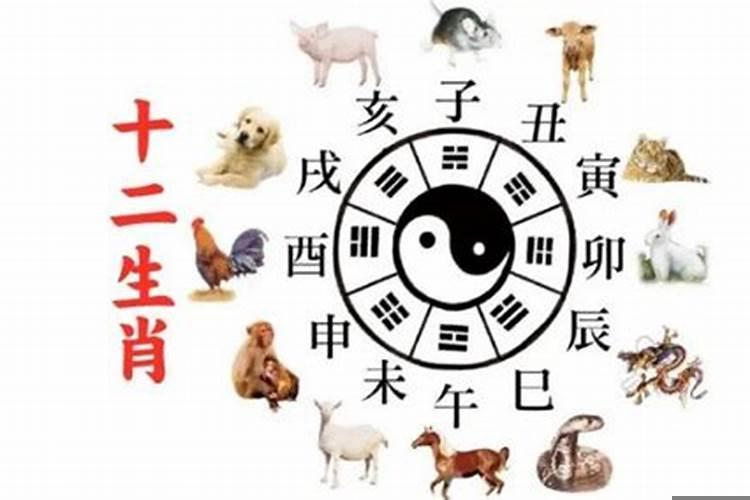 生肖马的天干地支