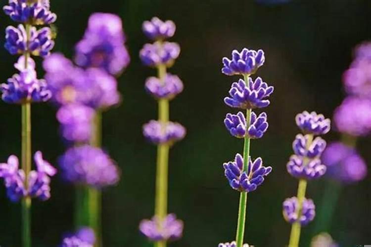 遇到贵人怎么去把握