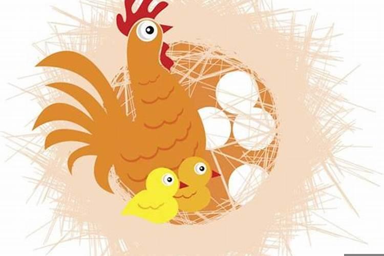 男兔女羊婚姻是否相配好不好