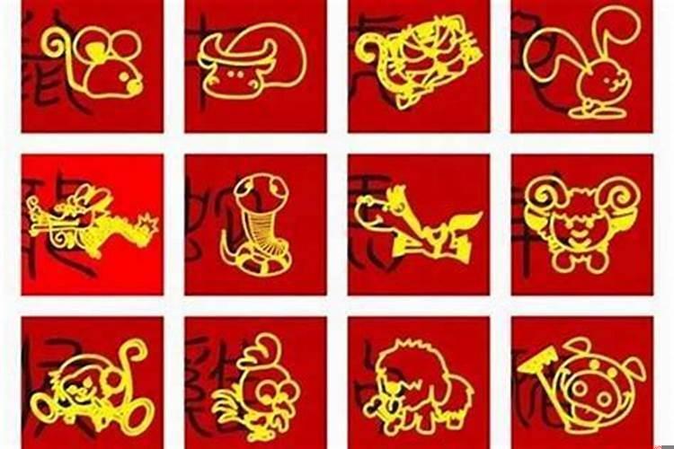 1972年的是什么生肖