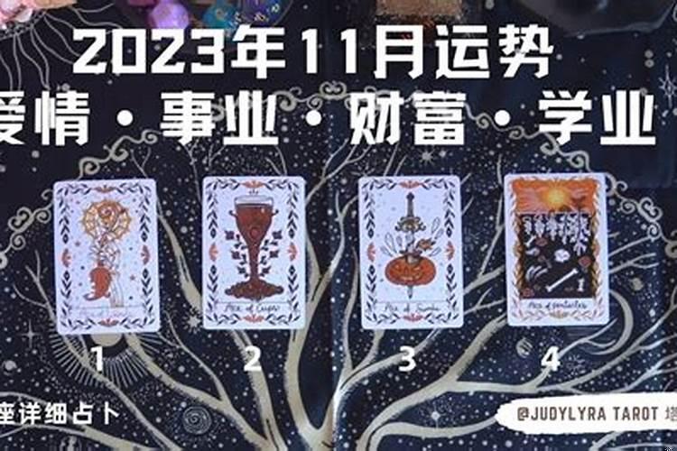 十二星座十一月运势2025