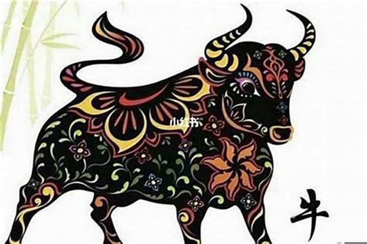 1985年出生的牛几月份好