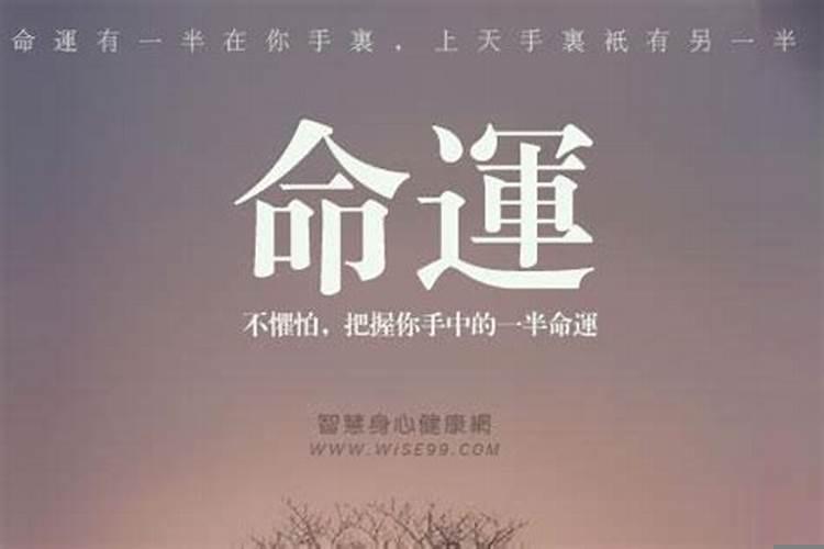 测一测你的命运